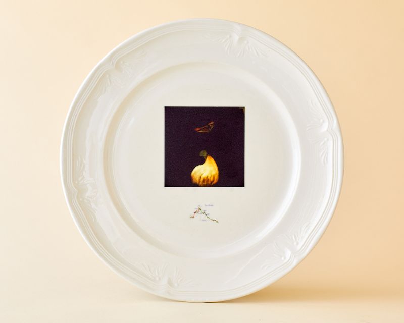 © George Selley - "Head & Shoulders"