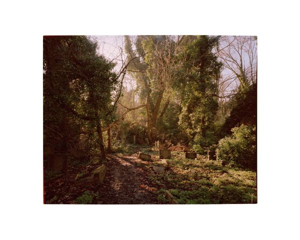 © George Selley - Image from the A Forest is Not a Free Market photography project