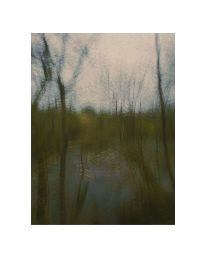 © George Selley - Image from the A Forest is Not a Free Market photography project