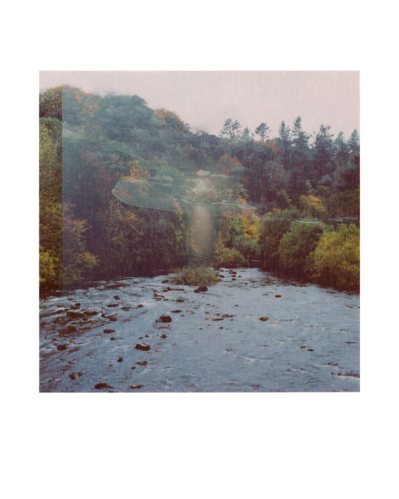 © George Selley - Image from the A Forest is Not a Free Market photography project