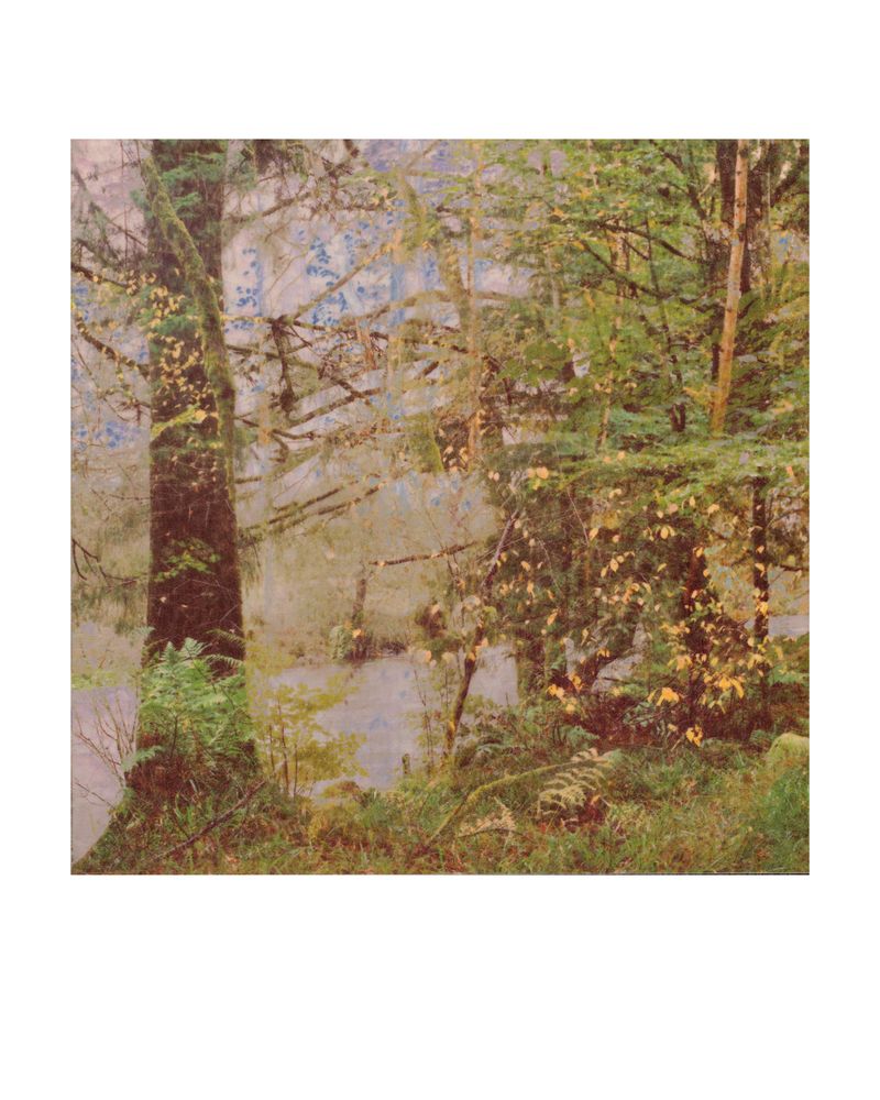 © George Selley - Image from the A Forest is Not a Free Market photography project