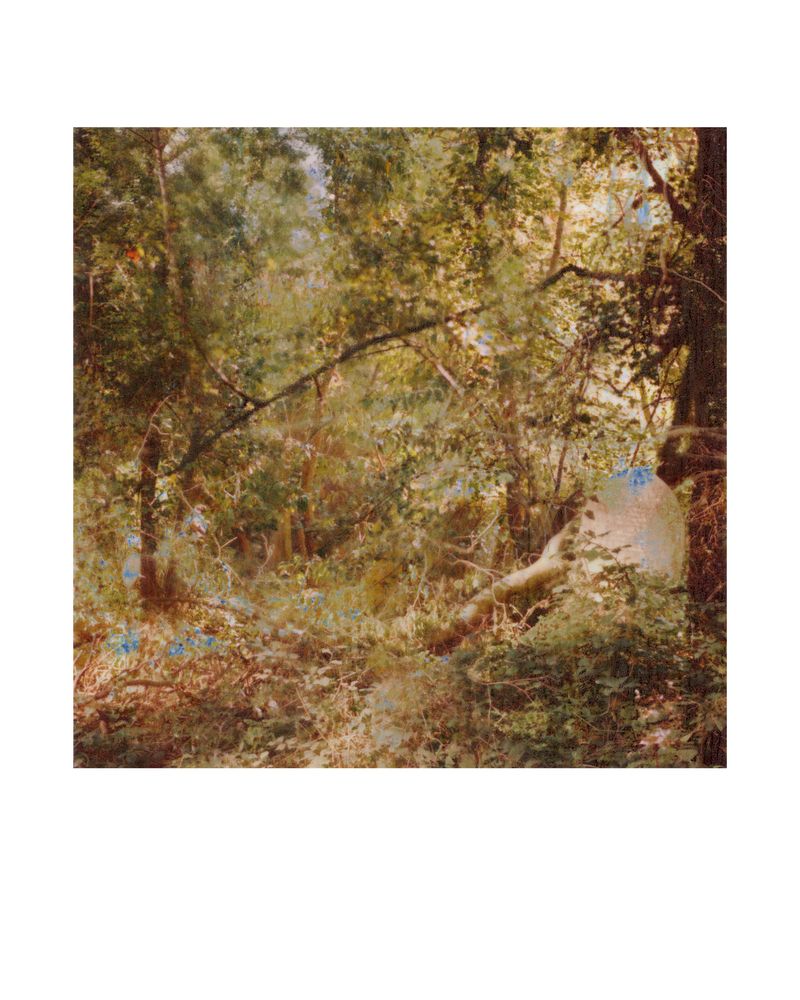 © George Selley - Image from the A Forest is Not a Free Market photography project