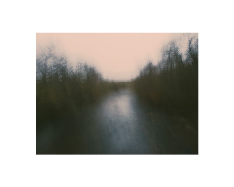 © George Selley - Image from the A Forest is Not a Free Market photography project