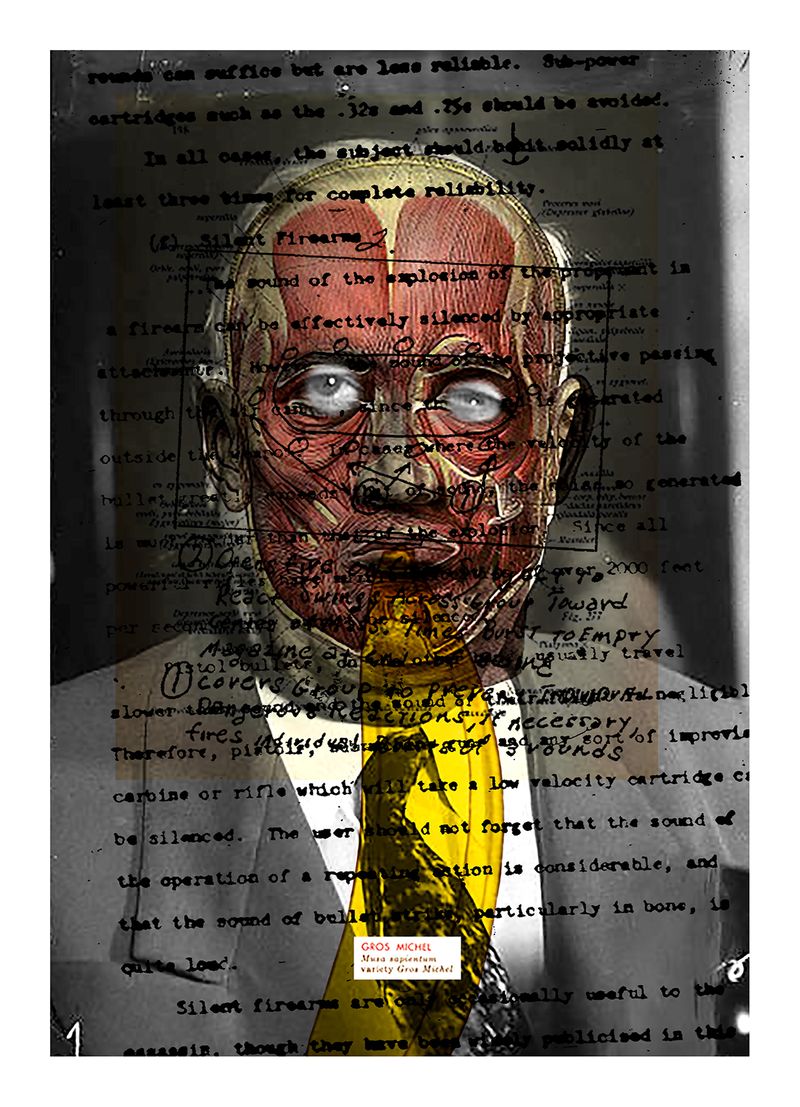 © George Selley - Image from the A Study of Assassination photography project