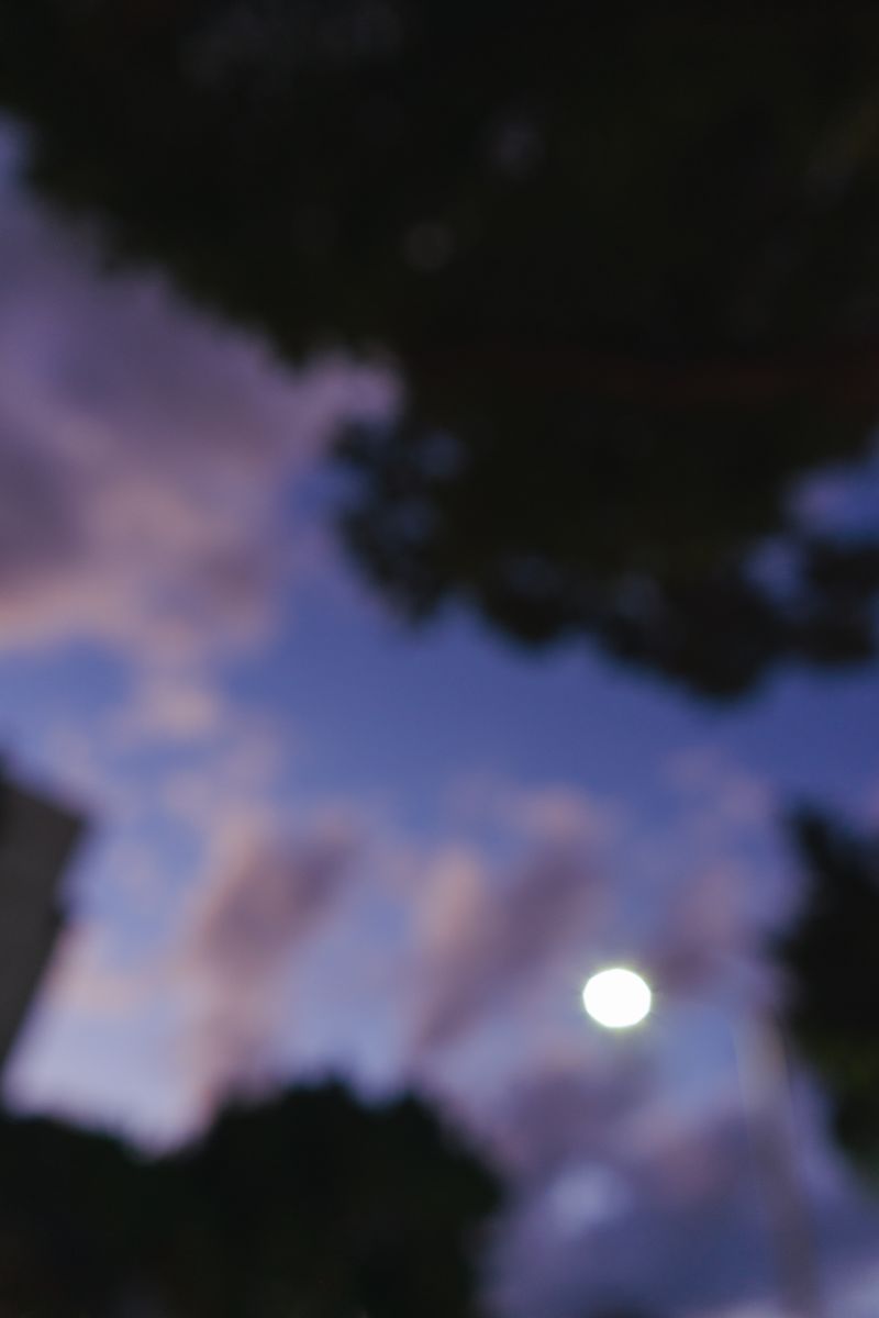 © Mu-En Juang - Moonrise, December, 2022