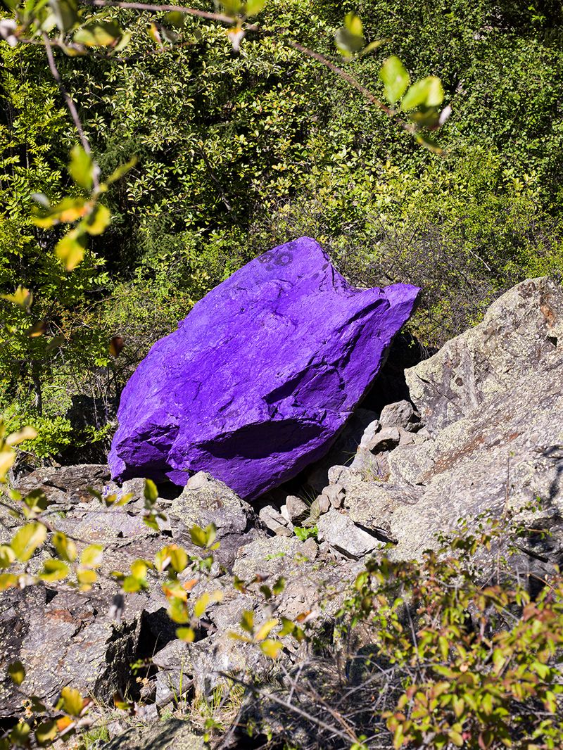 © Rein Kooijman - Pigment made out of flower powder, Arabic gom and water from the Veneon river in France