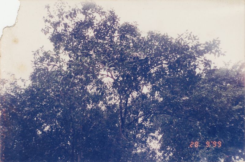 © JL Javier - Image from the Exit Wounds photography project