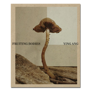 Fruiting Bodies