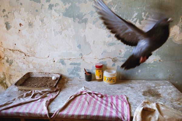 © Alex Webb and Rebecca Norris Webb, from the series, Slant Rhymes