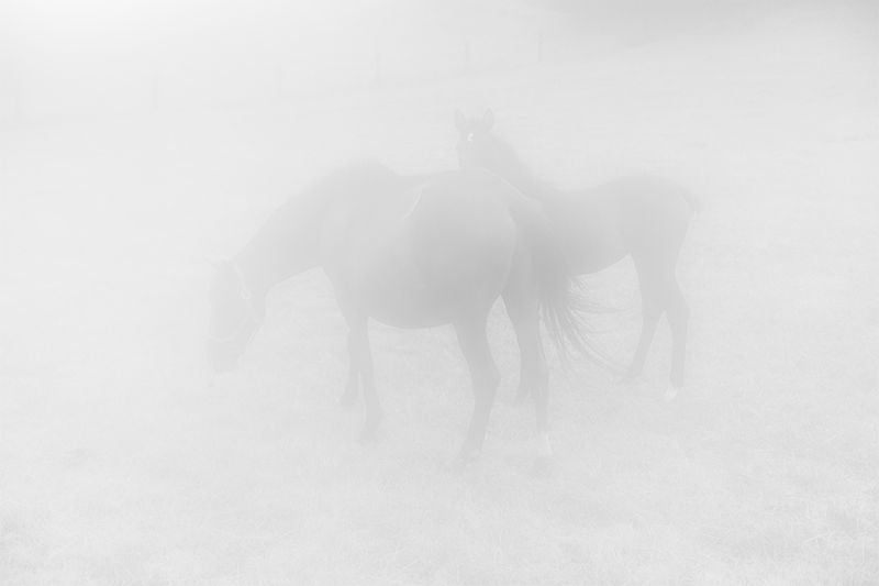 © Laia Abril, from the series Lobismuller (Images Vevey Book Award 2015 / 2016 winner)