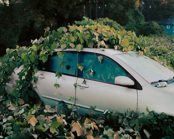 © Vincent Desailly, from the series The Trap. 2020 Photography Grant finalist