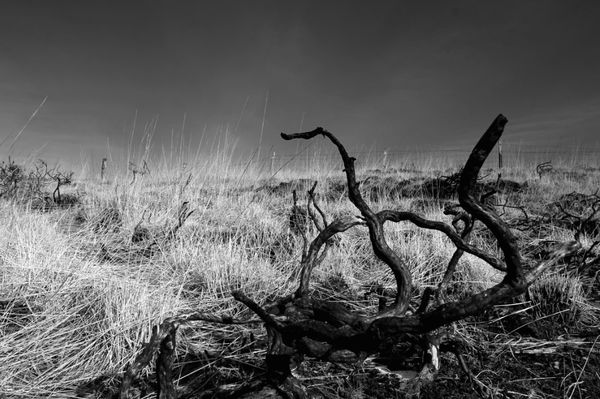 © Natalie Bryne, from the exhibition Perspectives at PhotoIreland 2016