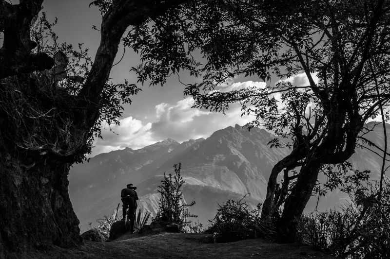 © David Martín Huamaní Bedoya, from the series Tururo Roots. (2015 Alfred Fried Photography Award recipient)