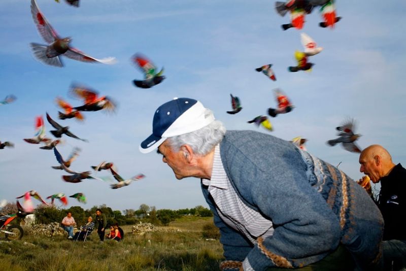 © Ricardo Cases, from the series Paloma al aire. (Exhibitor at this year's PHotoEspaña)