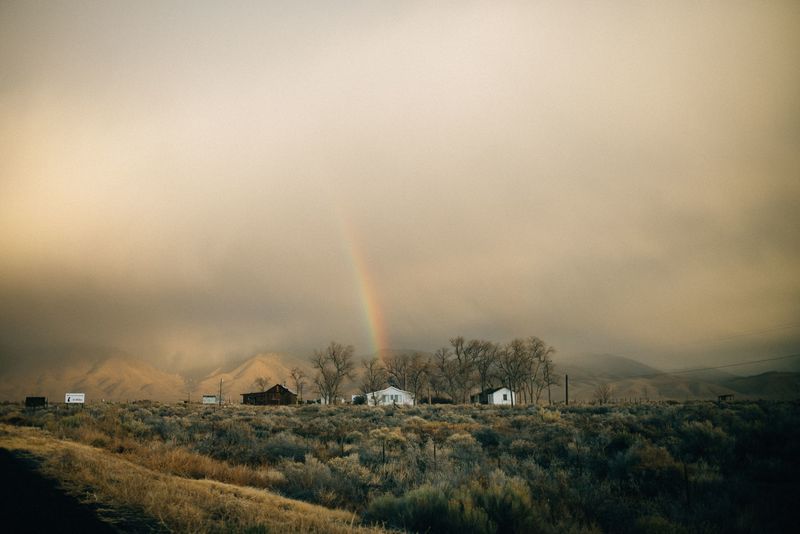 © Cody Bratt (2018 exhibitor)