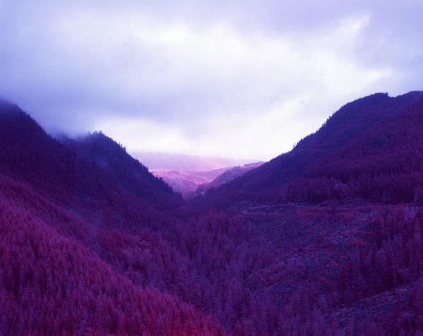 © Mike McLean, from the series JR (2018 exhibitor)