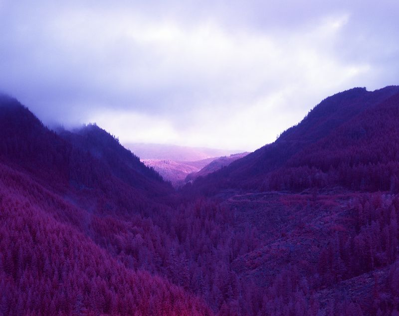 © Mike McLean, from the series JR (2018 exhibitor)