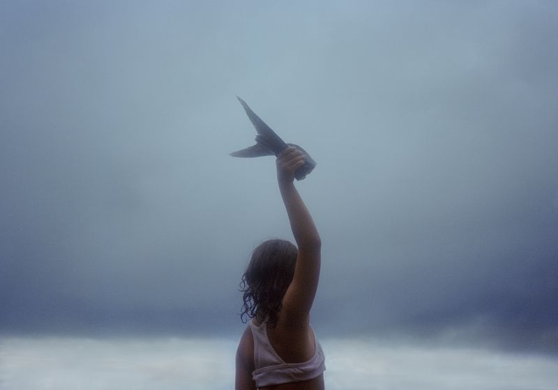 © Rhiannon Adam, from the series Big Fence / Pitcairn Island. 2020 winner