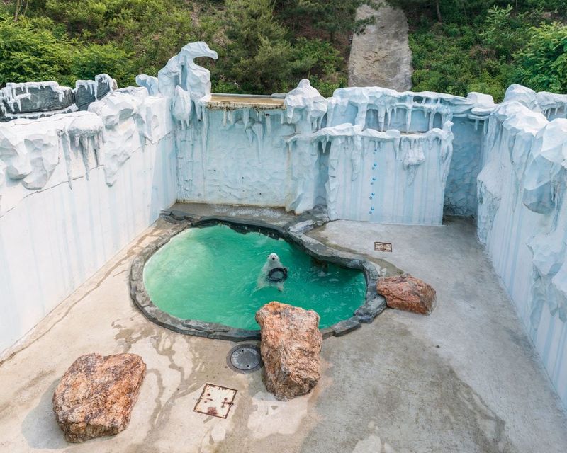 © Sheng-Wen Lo, from the series White Bear (2017 exhibitor)