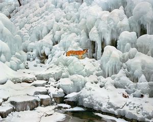 March's Best Photo Festivals