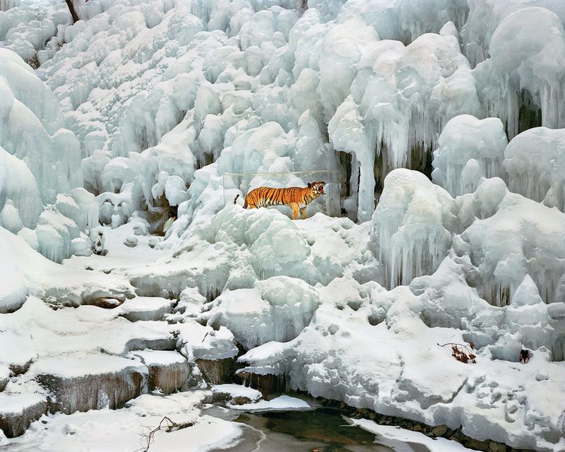 © Seunggu Kim, from the series, Better Days. 2019 Format Festival Exhibitor