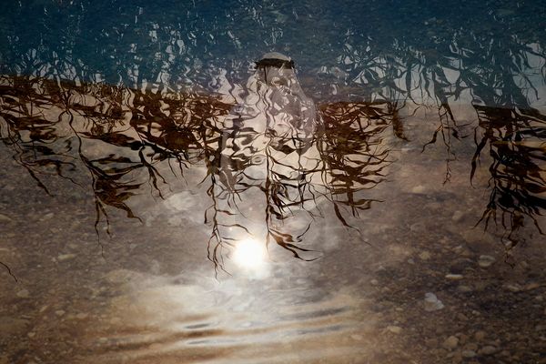 © Laura El-Tantawy, from the series I'll Die For You. 2020 winner.