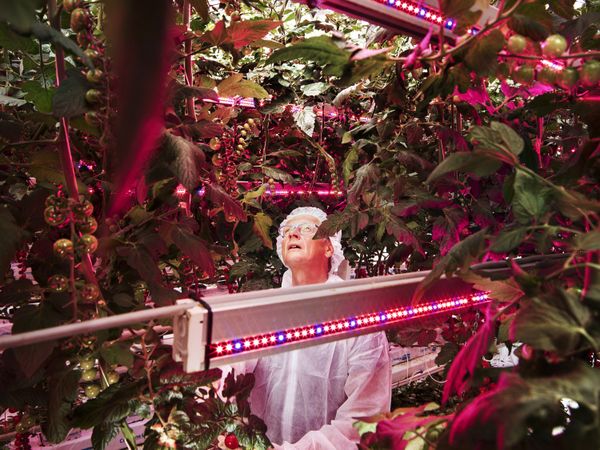 December's Photography Grants and Awards