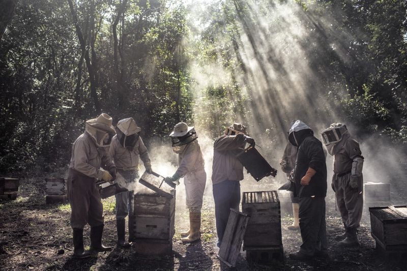 © Nadia Shira Cohen, from the series God's Honey. 2020 exhibitor