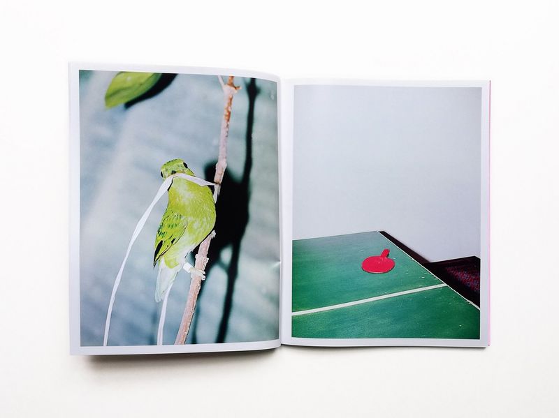 © Hiro Tanaka, spread from the book Chicharron