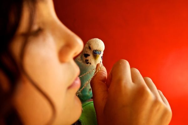 © Sam Harris, from the series The Middle of Somewhere. 2019 exhibitor