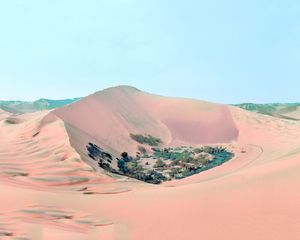 February's Photography Grants and Awards