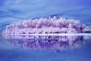 July's Best Photo Festivals