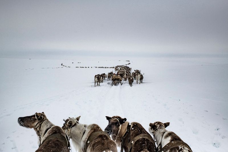 © Yuri Kozyrev and Kadir van Lohuizen, from the series Arctic: New Frontier