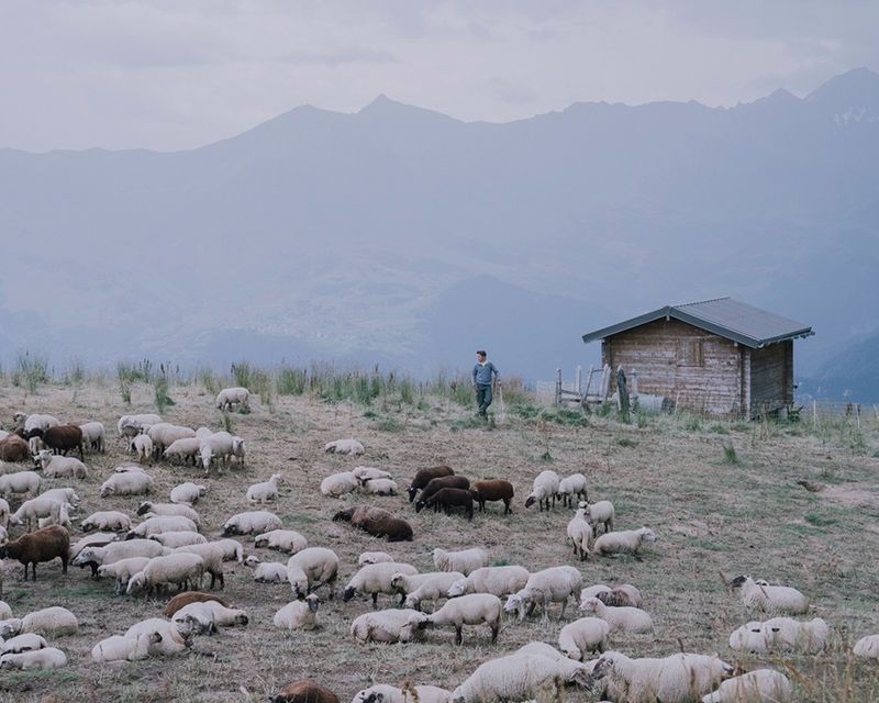 © Betty Bogaert, BUP Book Award 2020 shortlisted artist