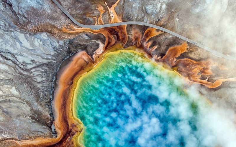 © Josh Haner, from the series Carbon's Casualties. 2019 exhibitor