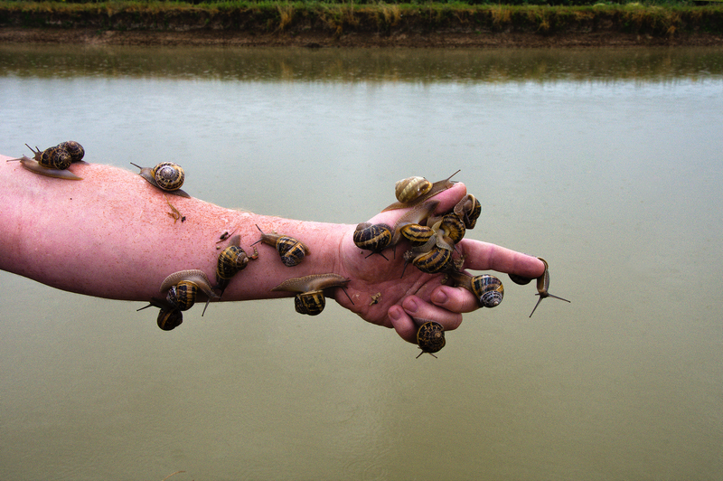 The Rage of Devotion © Liza Ambrossio