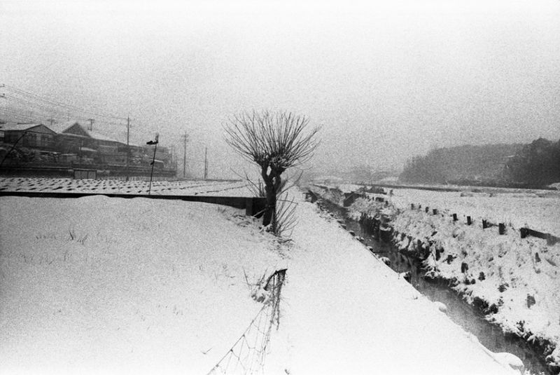 © Hajime Kimura, from the book In Search of Lost Memories