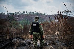 October's Best Photo Festivals