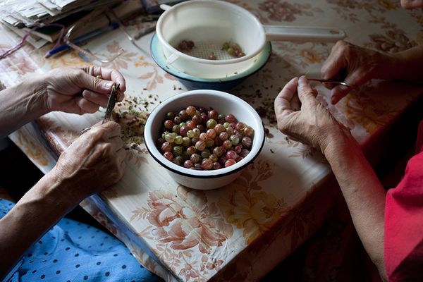 © Nadia Sablin, from the series Aunties: The Seven Summers of Alevtina and Ludmila (2014 winner)