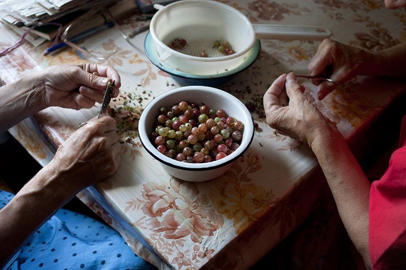 © Nadia Sablin, from the series Aunties: The Seven Summers of Alevtina and Ludmila (2014 winner)