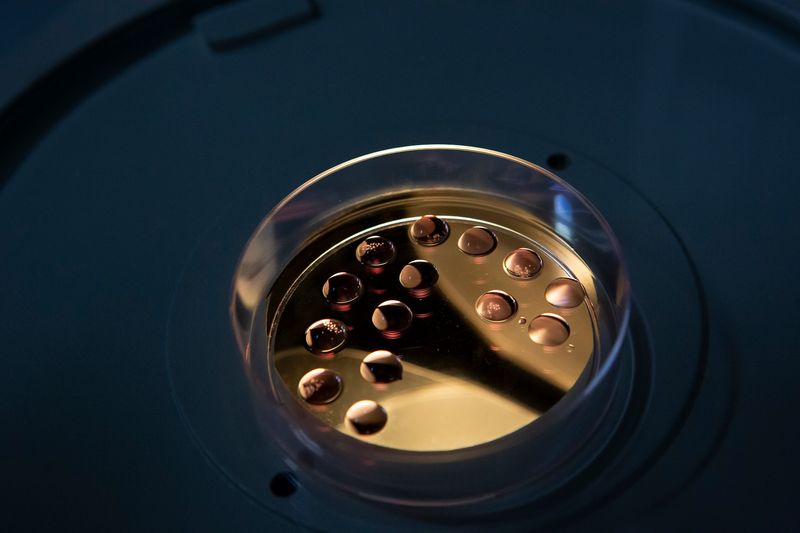 5 Projects to Discover on World Environment Day 2020