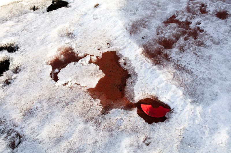 © Dimitri D’ippolito for Ardesia Projects