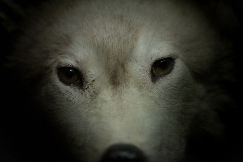 © Maria Portaluppi, from the series, This is not Paradise