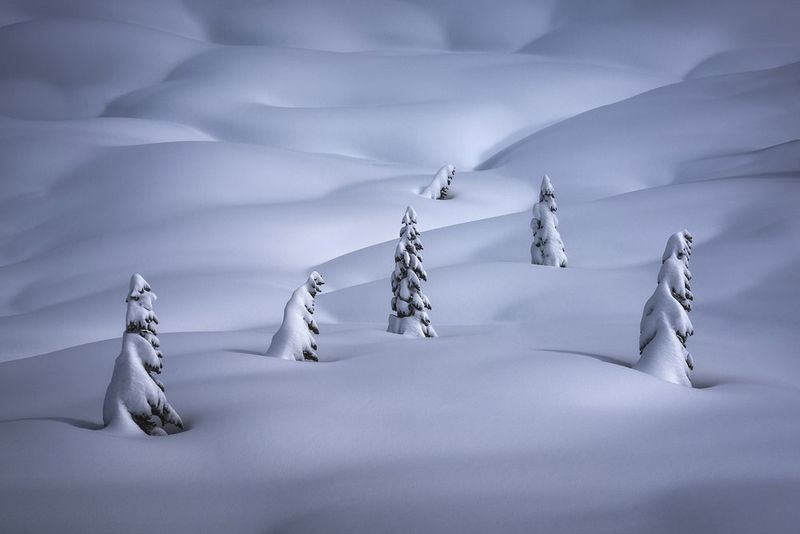 © Alex Noriega (2016 Open Photographer of the Year) 