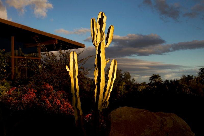 © Diana Markosian, from the series Santa Barbara. 2018 Happiness ONTHEMOVE winner.