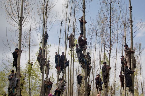© Dar Yasin. 2019 Yannis Behrakis Photojournalism Award winner.