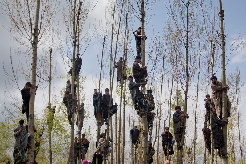 © Dar Yasin. 2019 Yannis Behrakis Photojournalism Award winner.