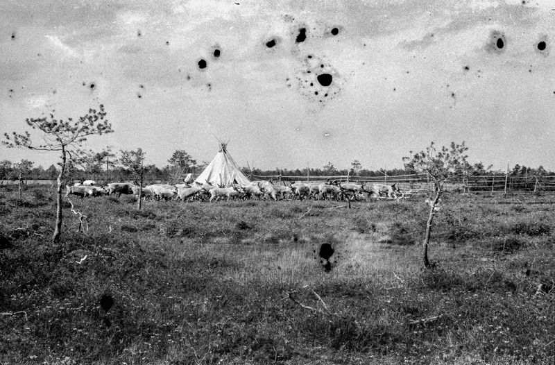 © Igor Tereshkov, from the series Oil and Moss. 2019 Project Launch Grant winner