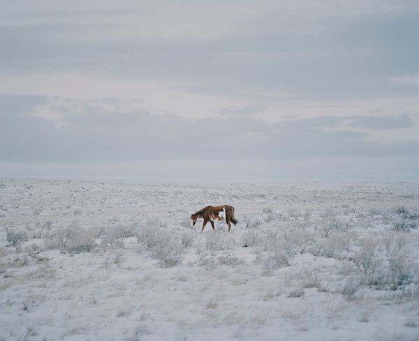 © Felix von der Osten