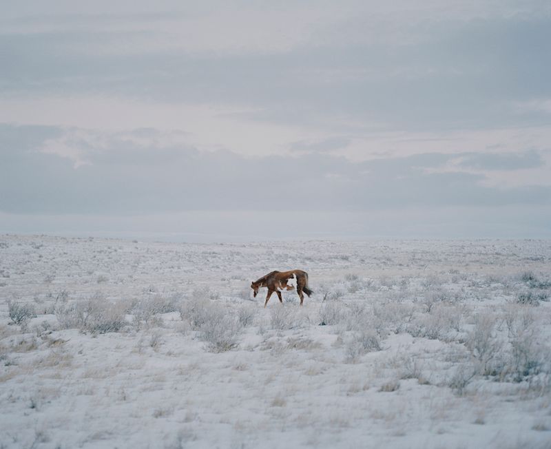 © Felix von der Osten